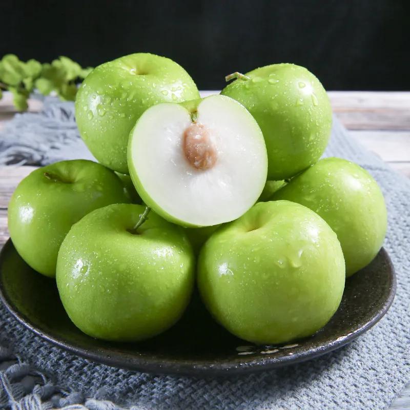 热带水果名单,热带水果王国攀枝花