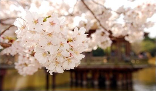 韩语流行的缩略词猜猜你认识几个,韩语缩略语教学视频