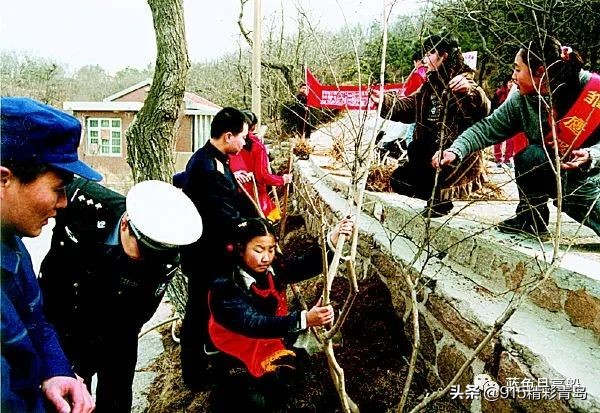 说说青岛的夜景,青岛武定路