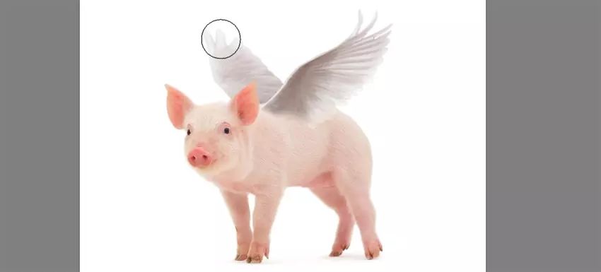 ps小猪怎么做,ps怎么合成驴子