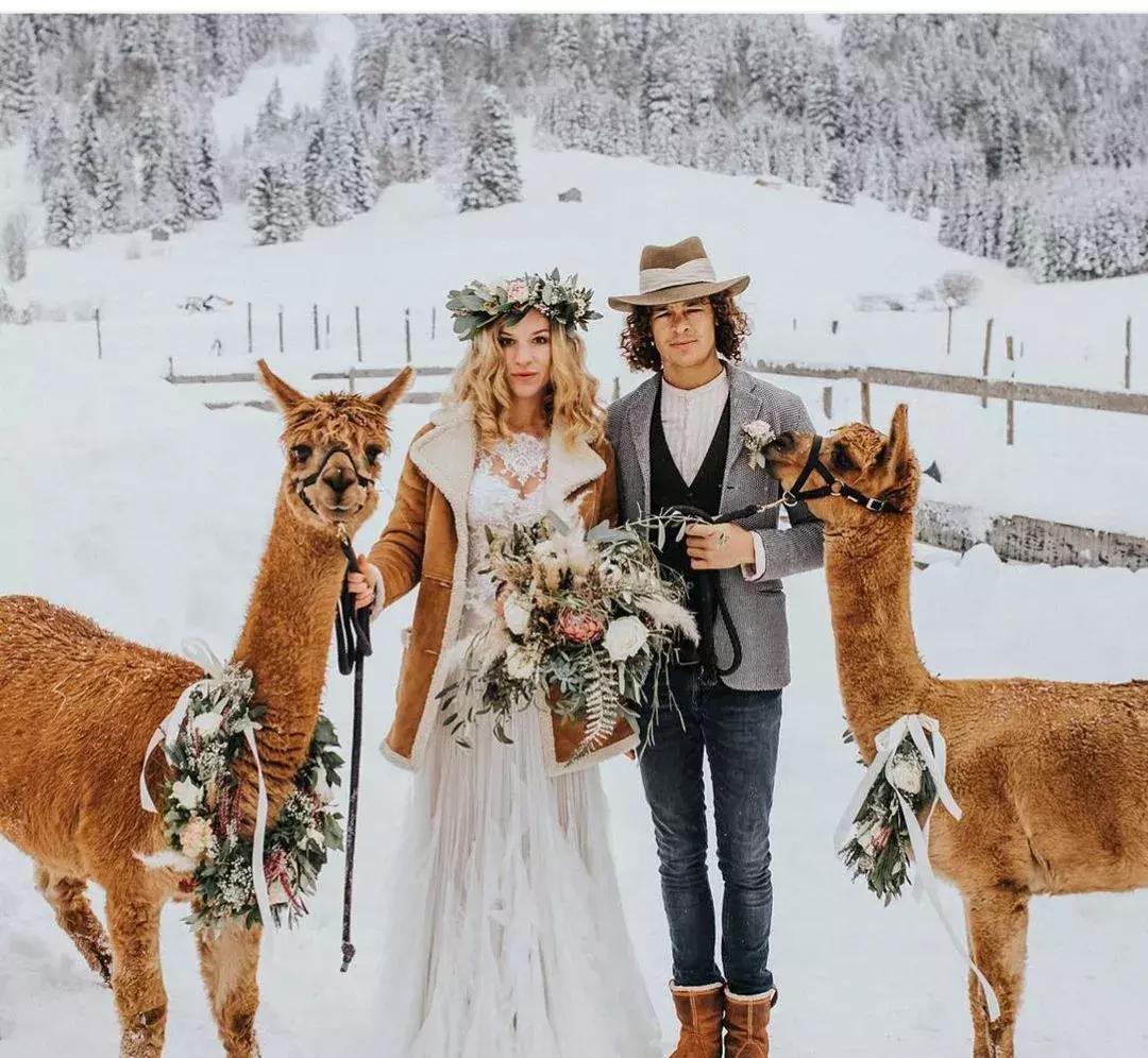 婚纱照像志玲姐姐,志玲婚纱照