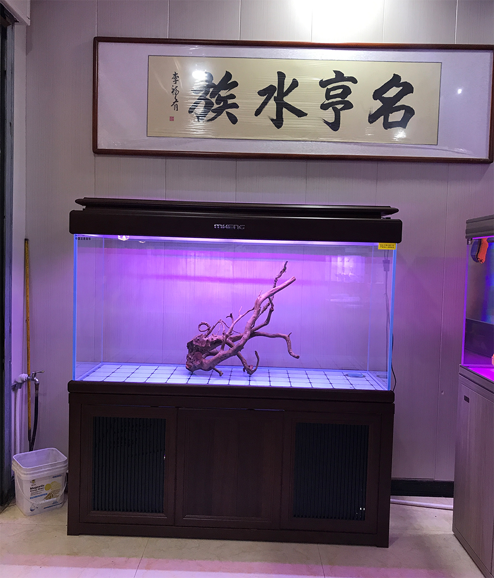 水族行业利润有多高,水族行业惨淡