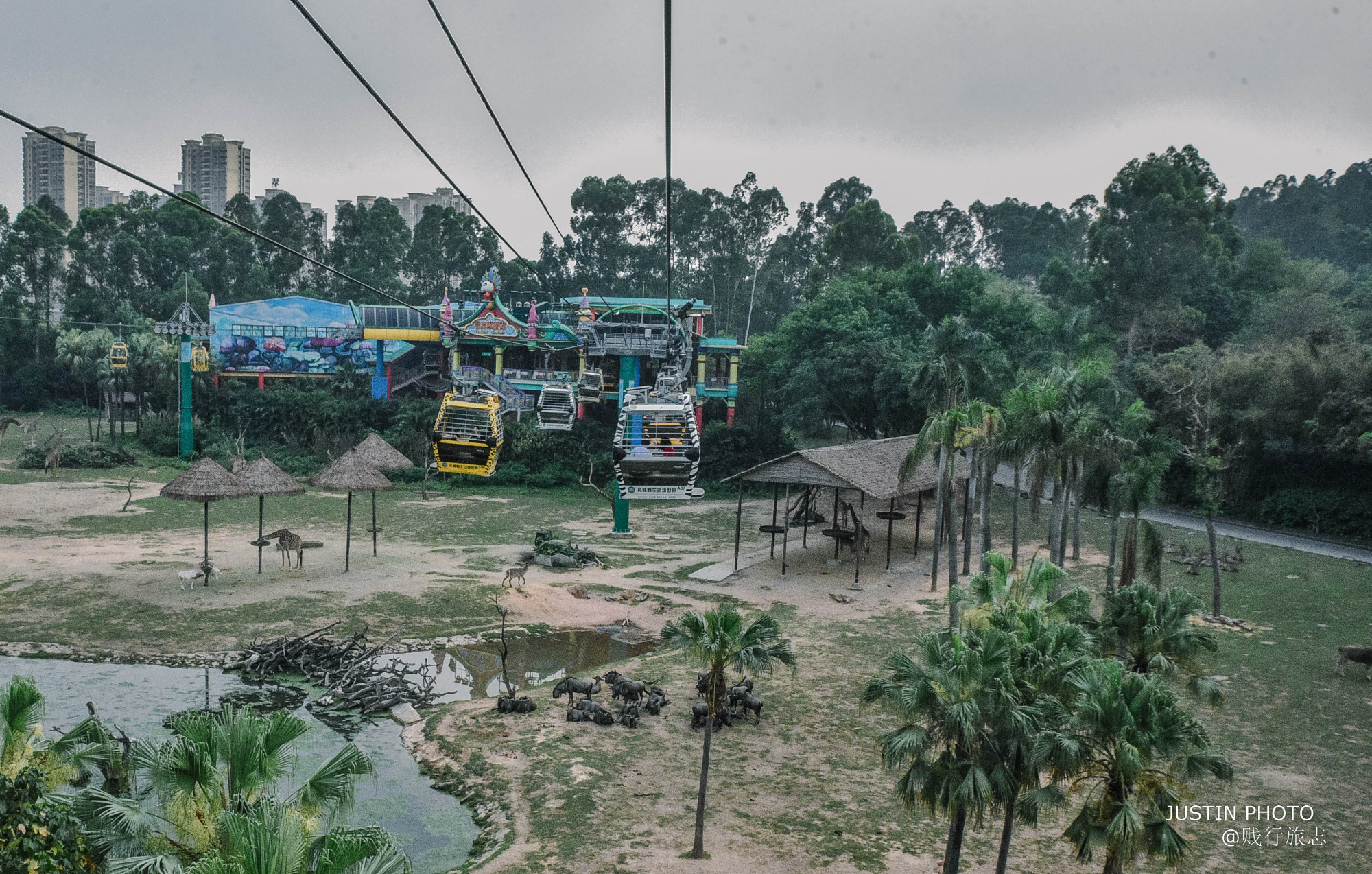 广东最大动物园在哪个市啊,广东最大动物园