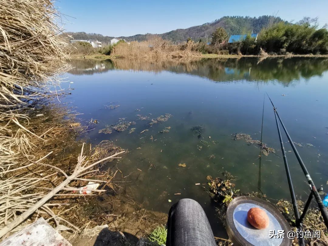 全能腥饵料真的好用么,全能腥香饵料测评