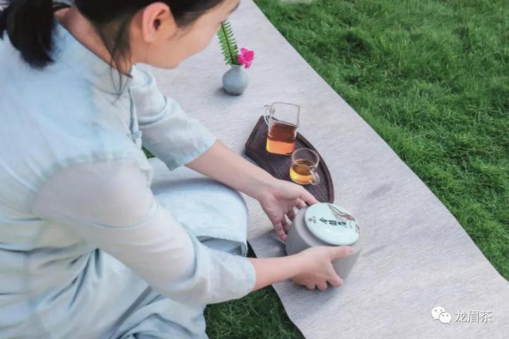 金骏眉被称为一款好茶,金骏眉茶价格