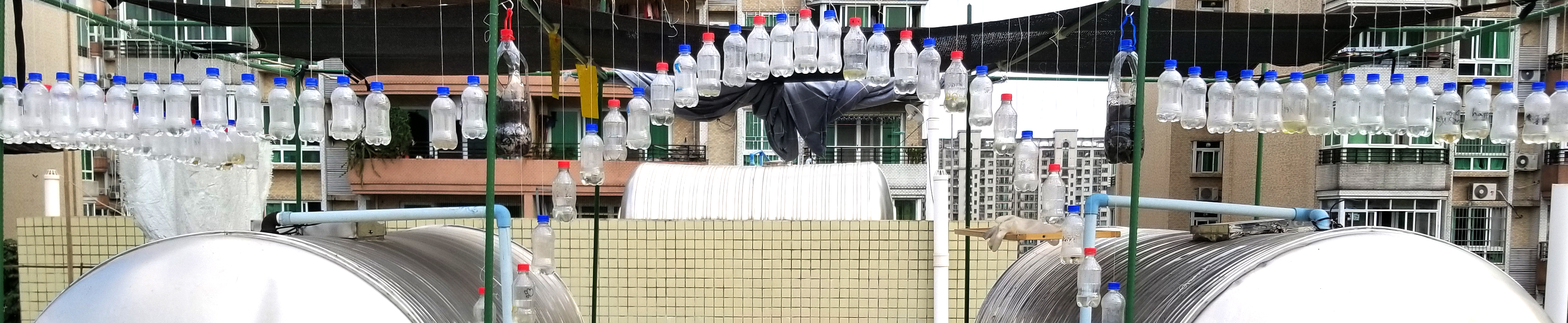 一个世界上还没有人想过的主意——超级塑料瓶船