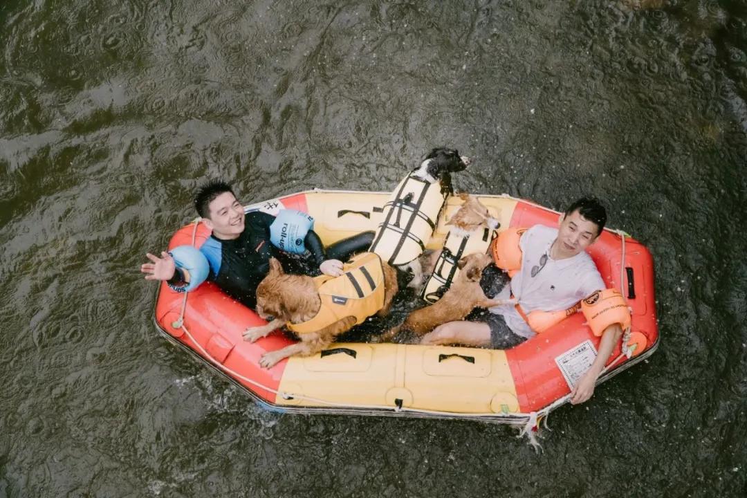 带着十一只狗狗去旅行,带着四只狗狗去旅行