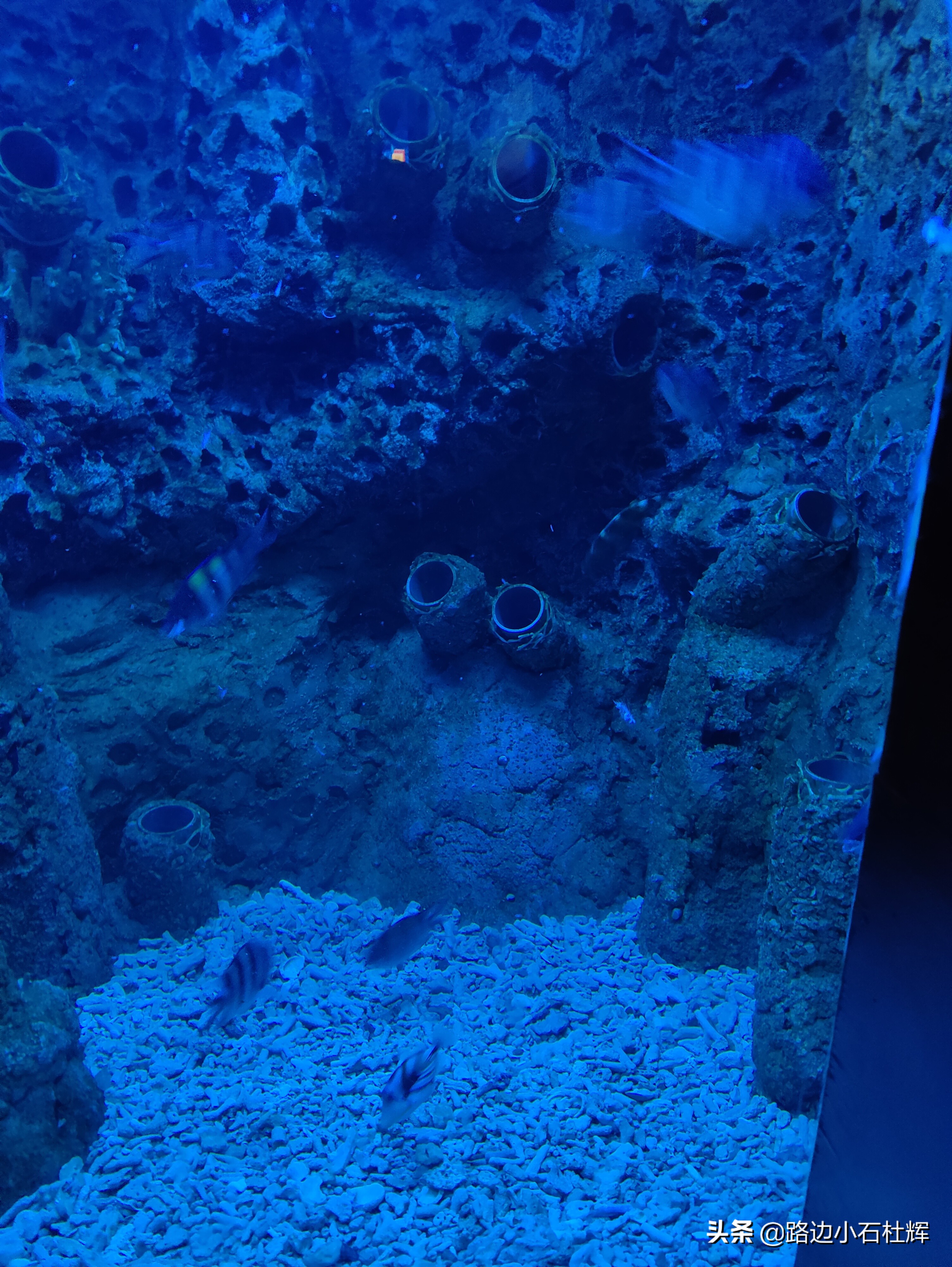 北京海洋馆海底世界游玩攻略,海洋馆北京海底世界游玩路线
