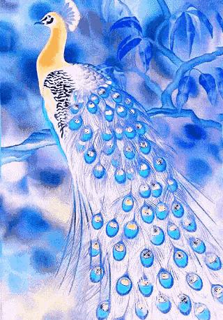 会动的图片100个,会动的10张图片