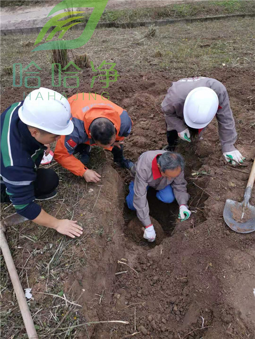 重庆白蚁防治方案,重庆家庭白蚁防治企业