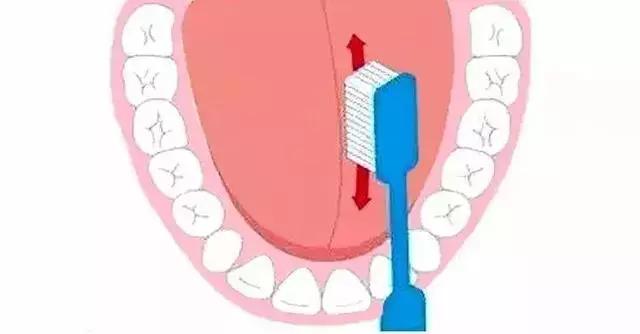 适合小朋友的刷牙方式巴氏刷牙法,最简单的爱牙方法就是有效刷牙