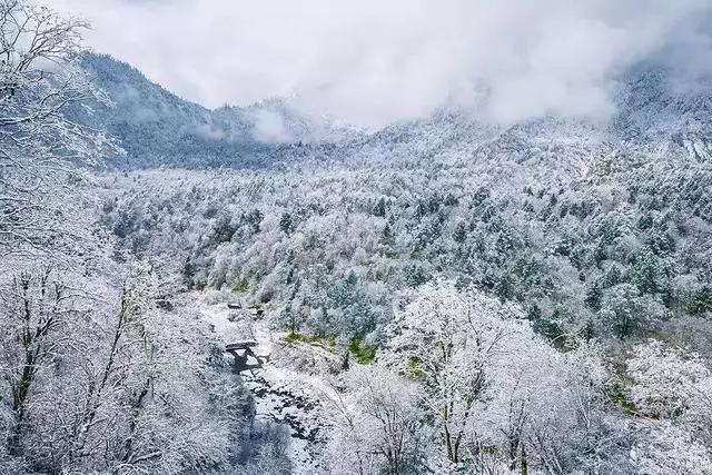 循着雪的方向，喇叭河颜值不输北欧，耍法多到让人尖叫