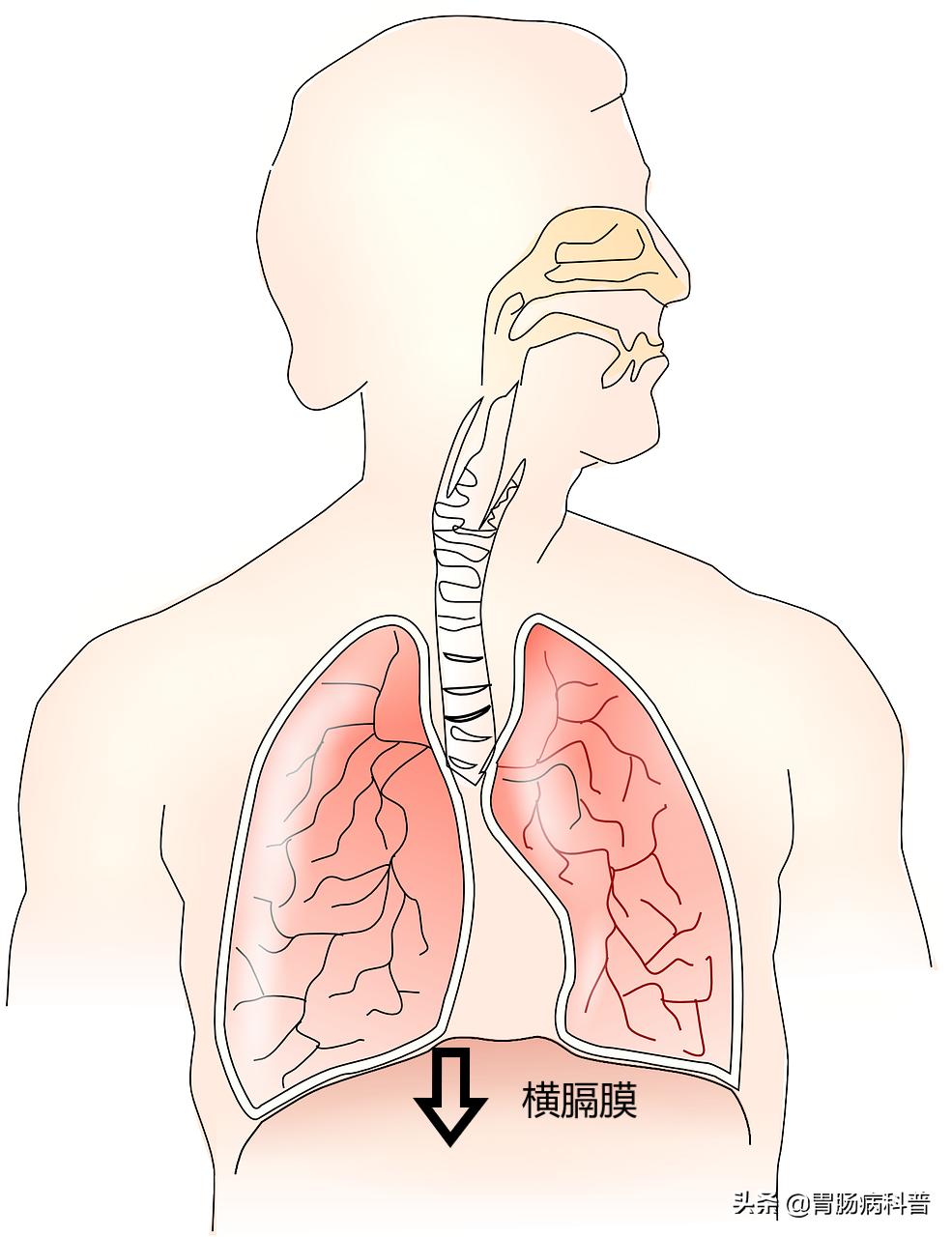 经常打嗝是胃癌前兆喉咙有异物,经常打嗝是胃癌前兆