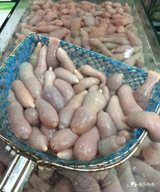 世界十大顶级海鲜品种,全球顶级海鲜食材大赏