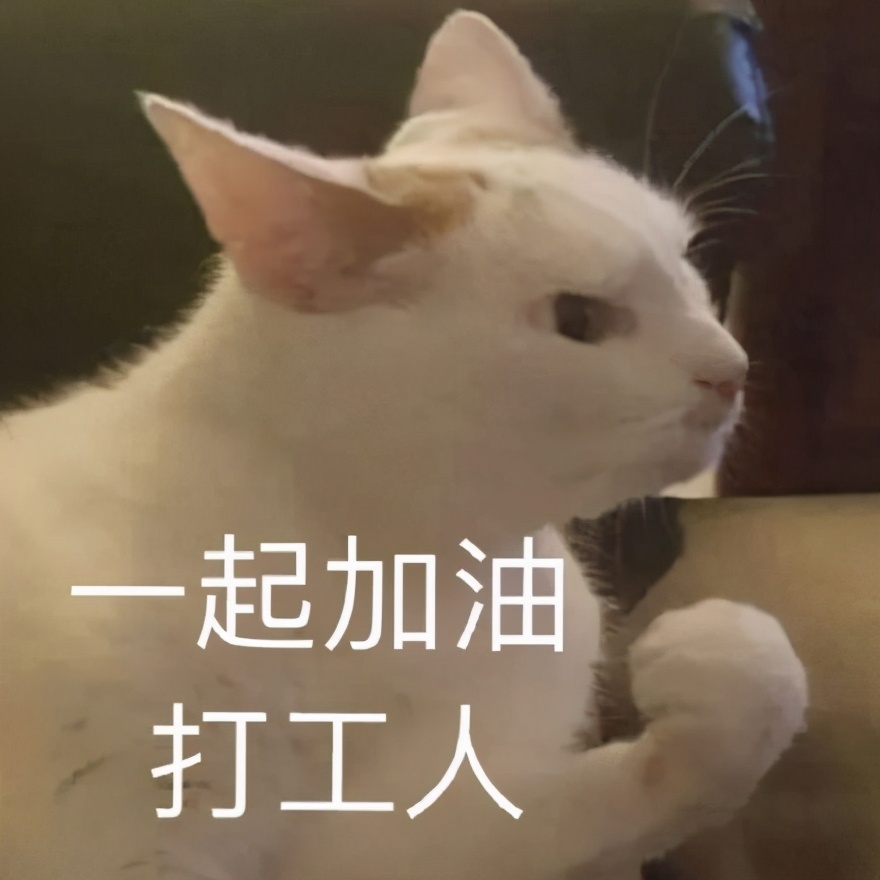 好困不想努力了表情包是什么意思,不想睡觉睡醒了就要上班了表情包