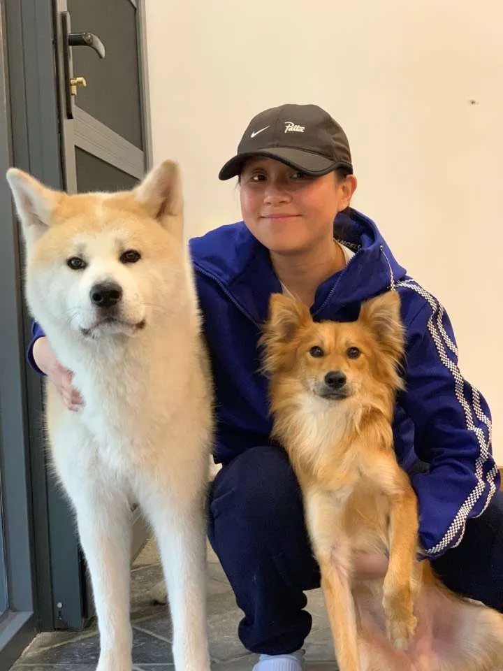 龙丹妮低谷视频,龙丹妮心酸历程