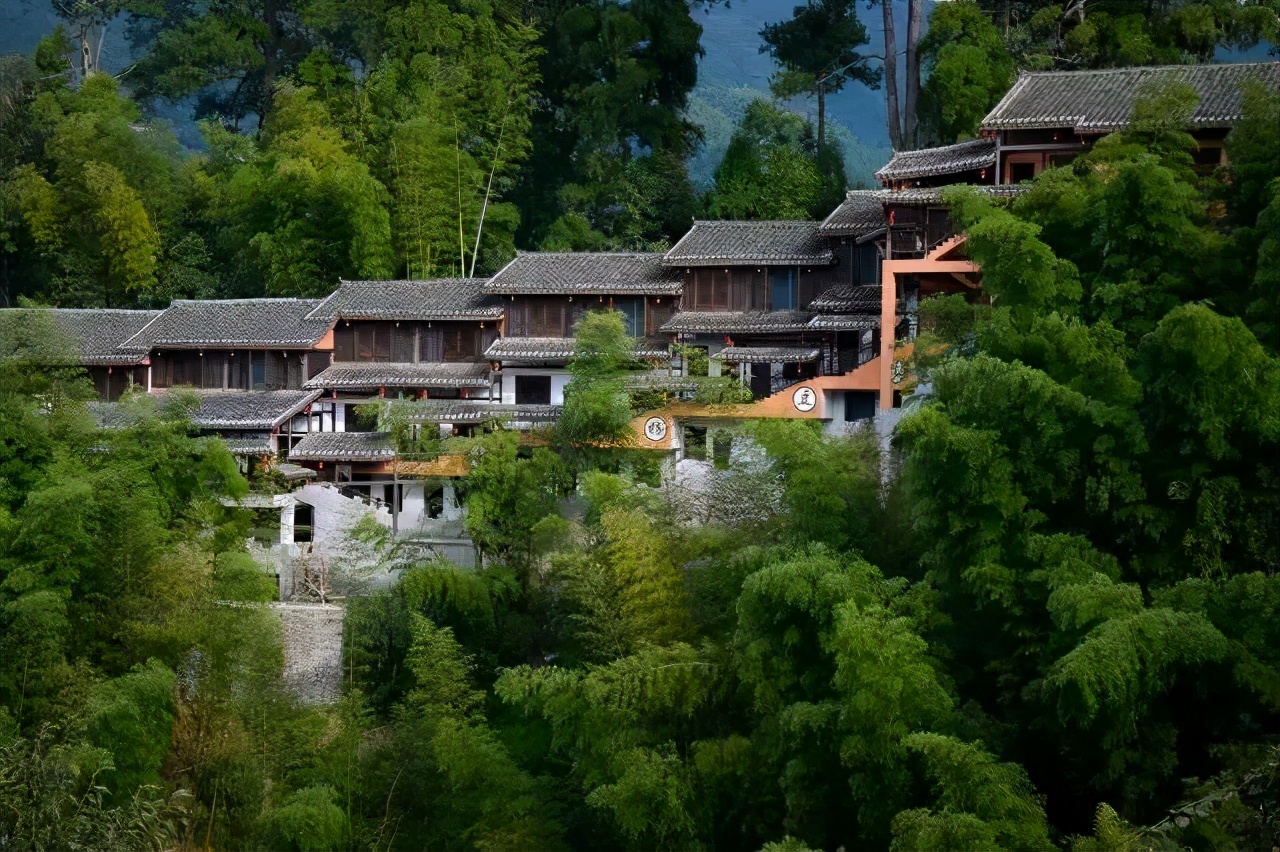 有着双重人生的小城青田，你对它的实力一无所知