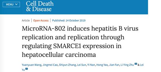 研究乙肝药物的最新消息,抑制乙肝的最好方法