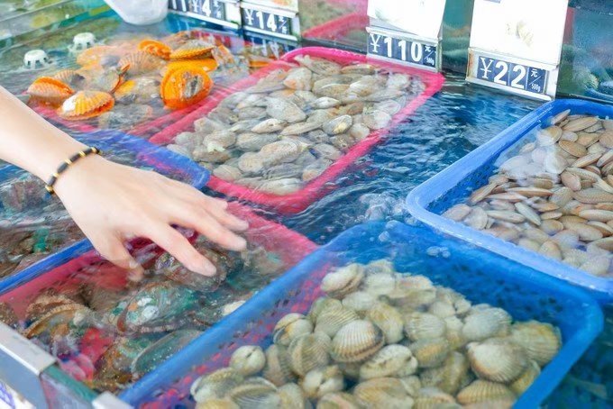 领略海口美丽风光，尝尽海口的各种美食