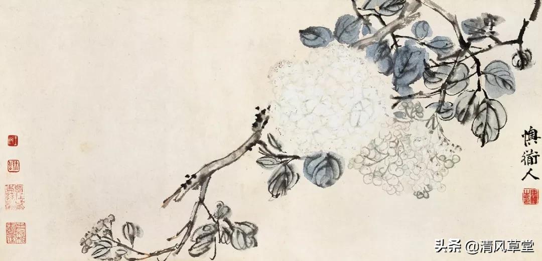 少儿国画花卉画法视频,各种花卉的100种画法