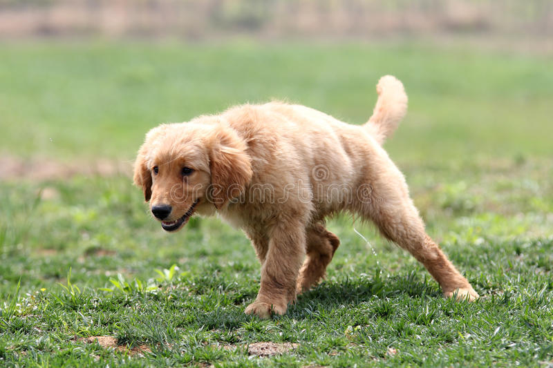 每一位宝贝的终极顽固分子“皮肤病”