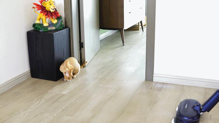 德国蓝宝拖把拖地,拖地洗地一体机测评