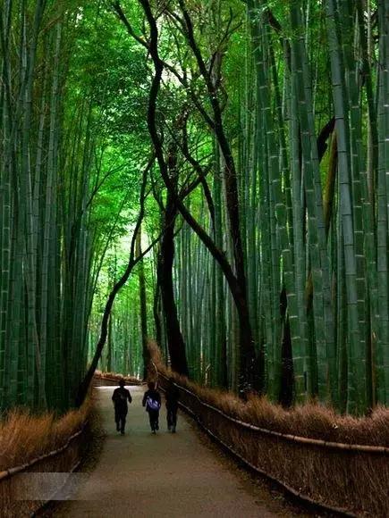 南怀瑾总结自己一事无成,南怀瑾40岁人生低谷是好事