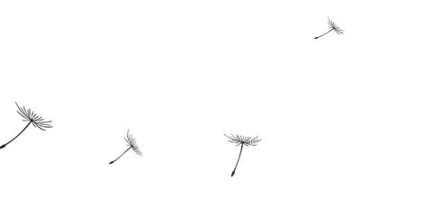 「北新建材」全轻钢龙骨跌级吊顶系统