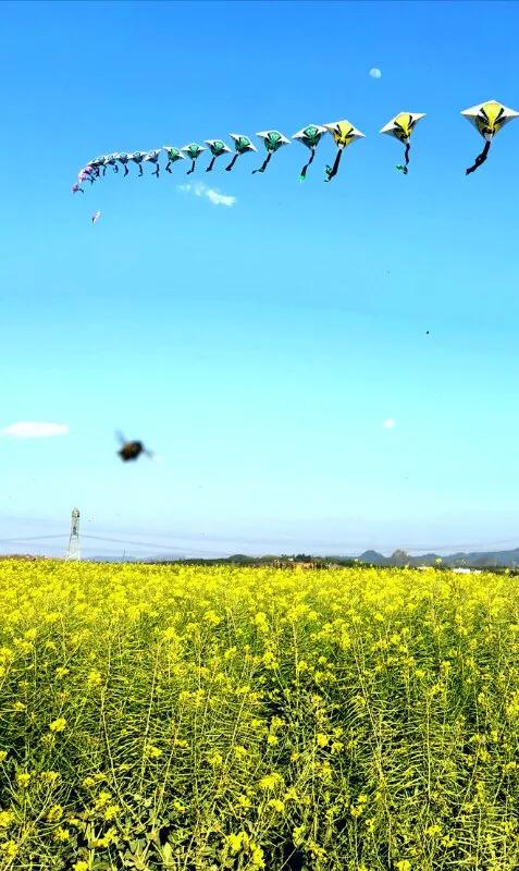 手拍世界,手拍世界近期作品