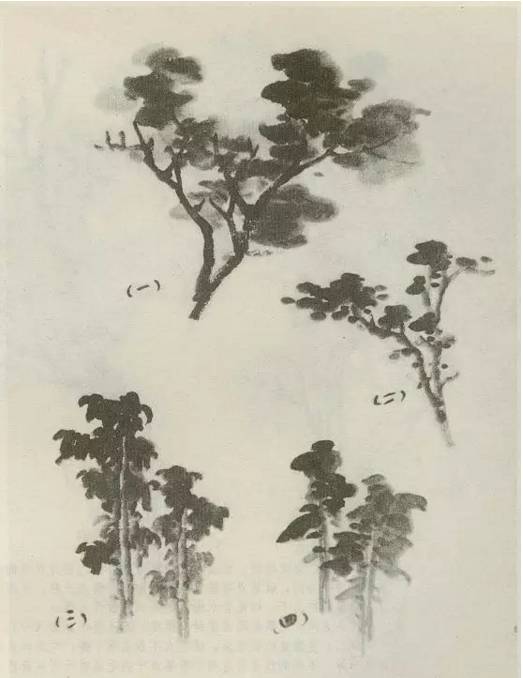 画树教程,怎么画树好看又超级简单