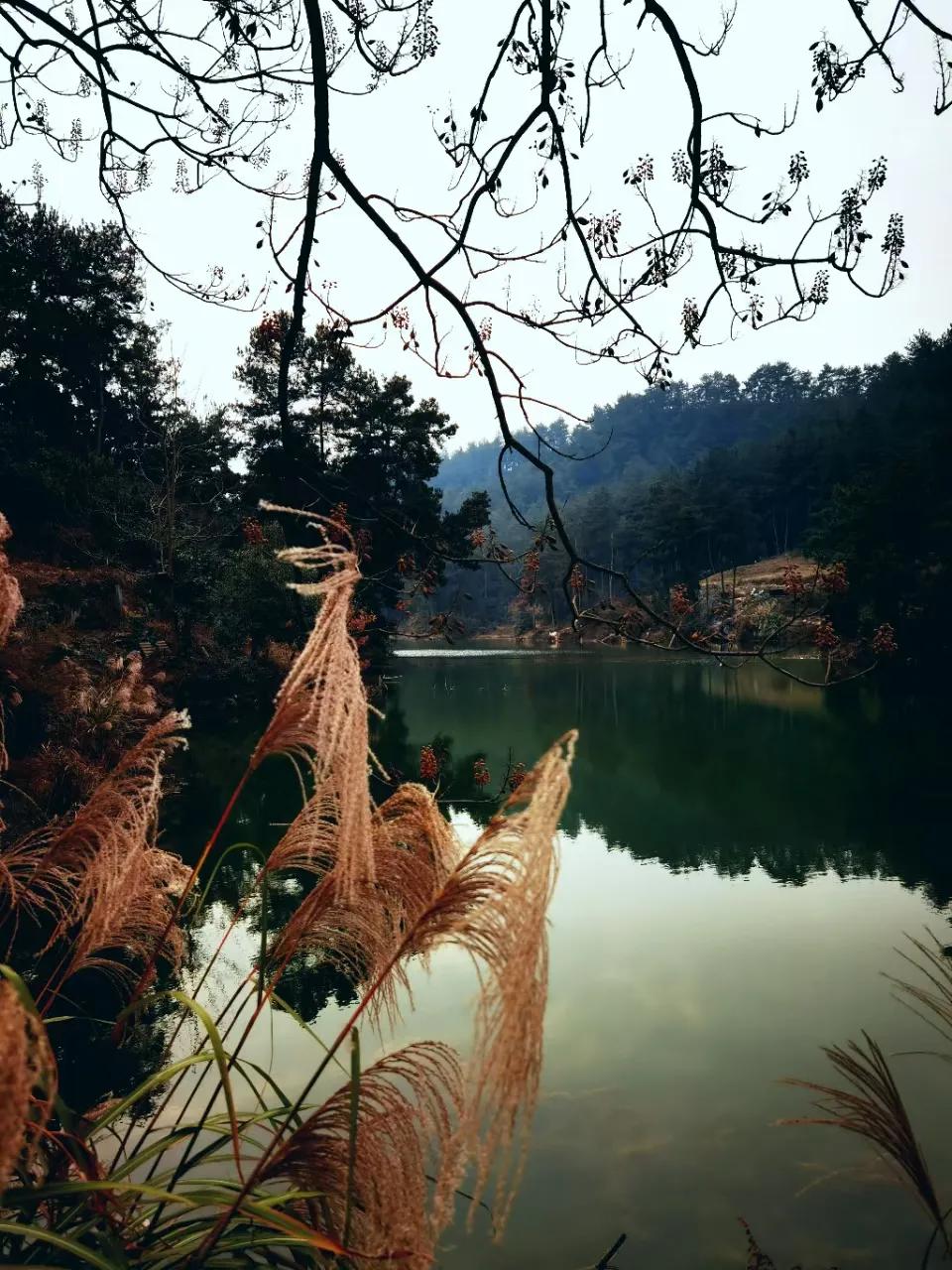 贵阳世外桃源人间仙境,贵阳世外桃源旅游攻略