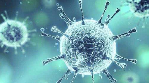 古代没有疫苗被疯狗咬怎么办,古代人没有狂犬疫苗怎么治