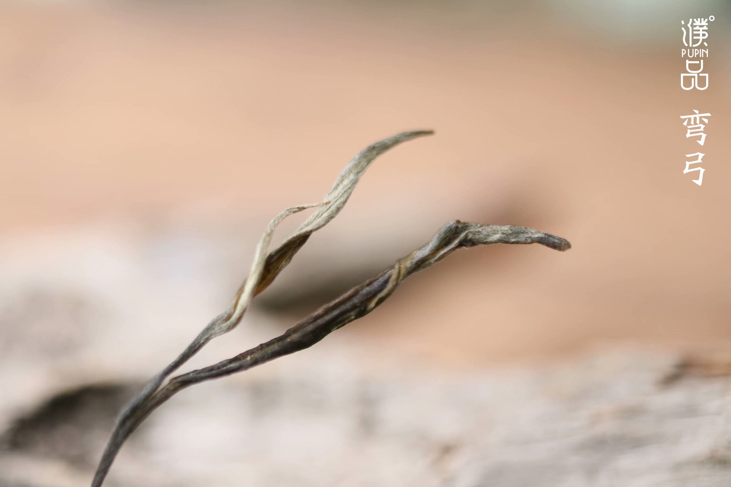 濮院品茶,濮茶普洱茶