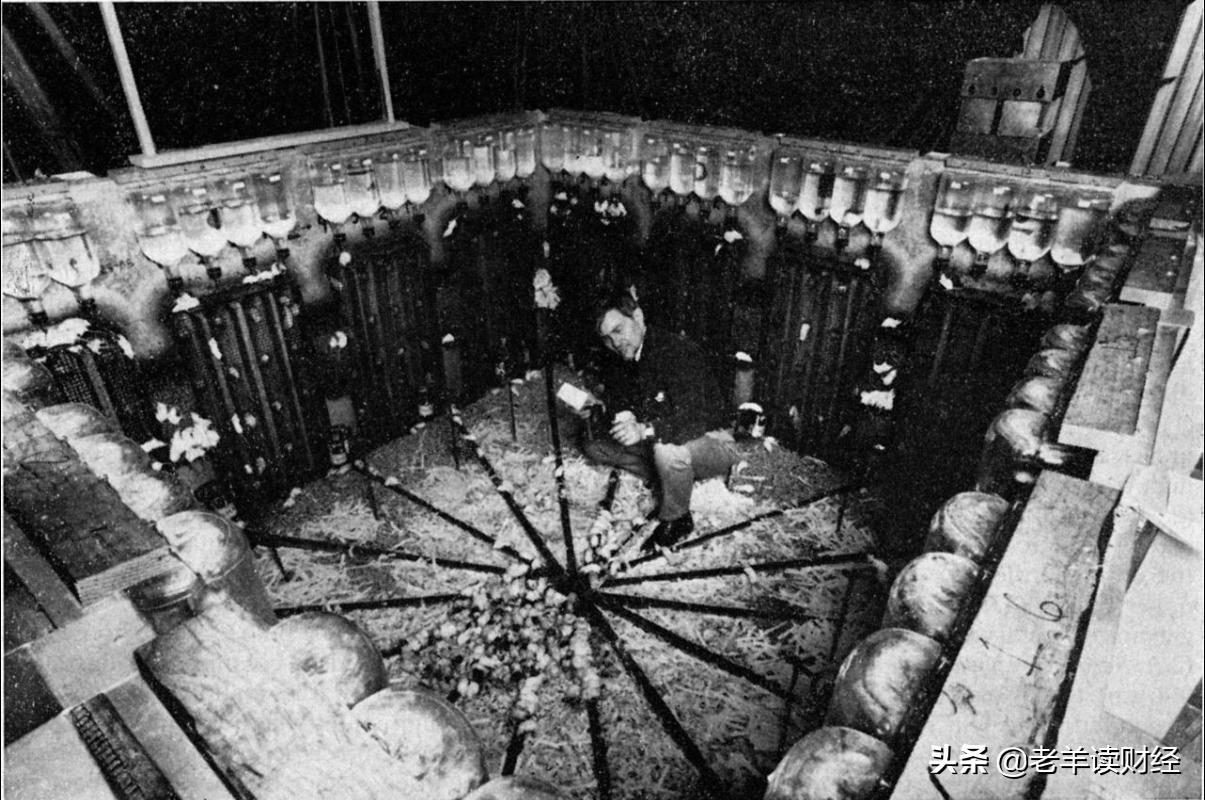 现代老鼠乌托邦25号实验,老鼠乌托邦实验说明了什么