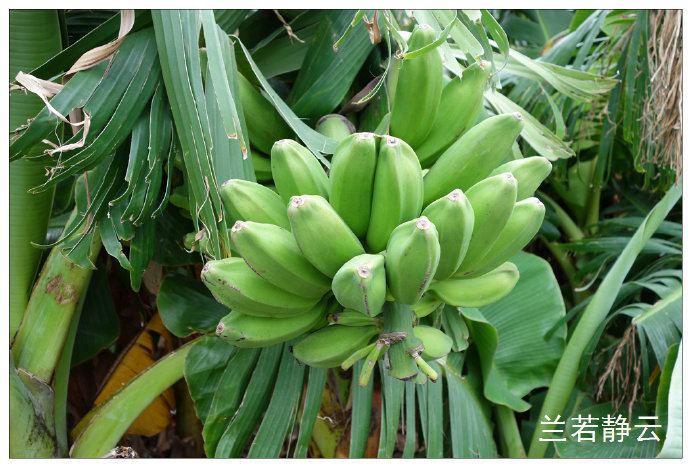 翔安澳头村攻略,厦门翔安澳头村怎么样