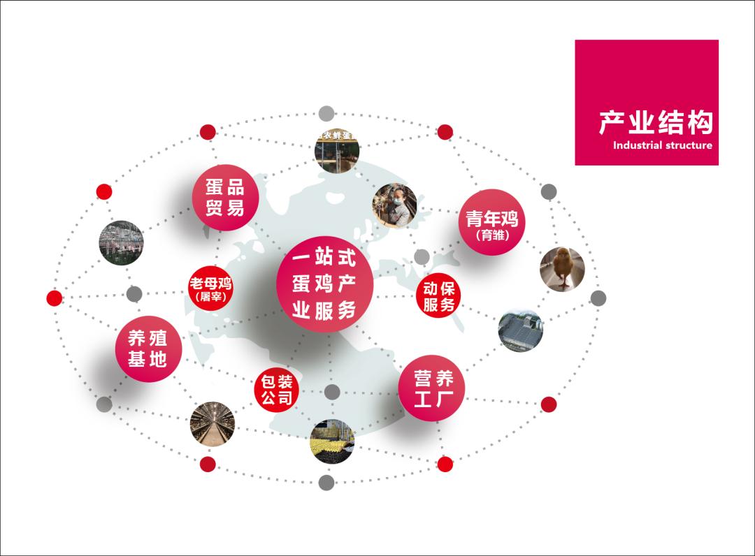 一站式便民利民服务,一站式服务助力企业