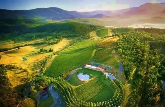 澳大利亚红酒小知识大全,一文了解意大利红酒