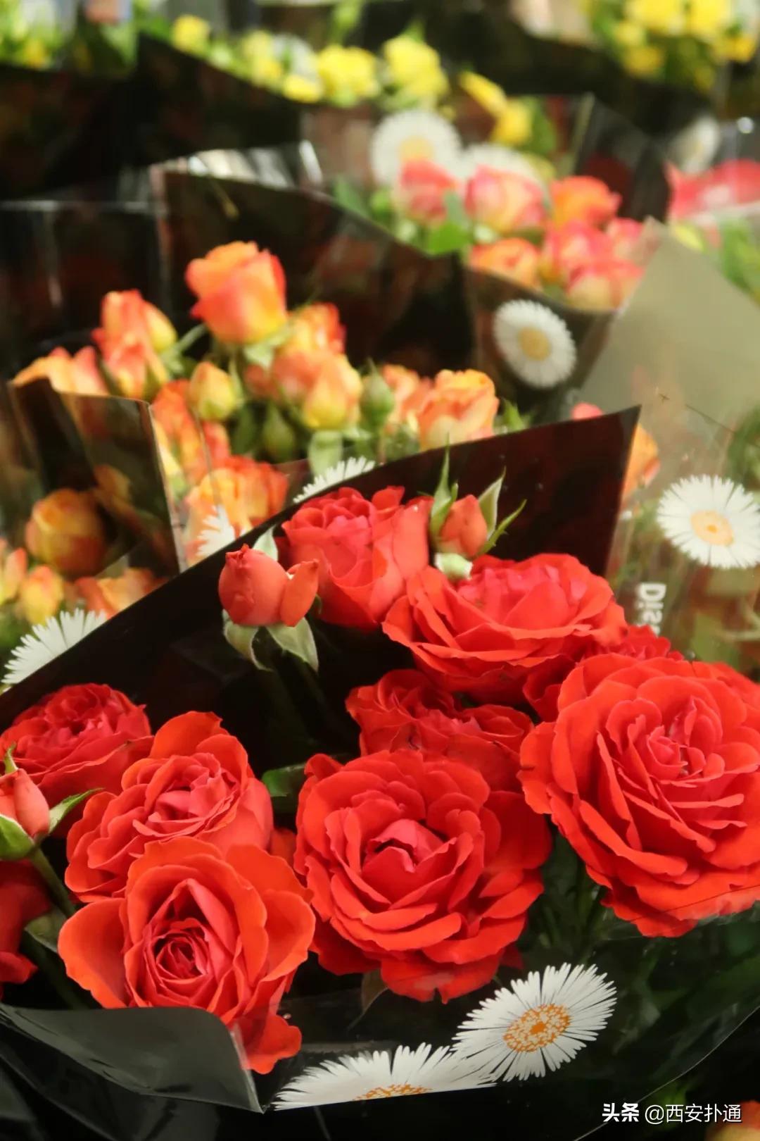 西安花市怎么买花便宜,西安最新花市