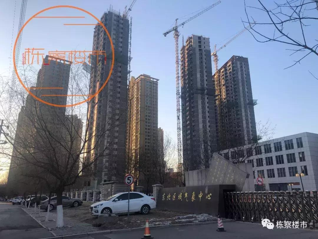 长白岛学区房都有什么学校,你真了解塞班吗