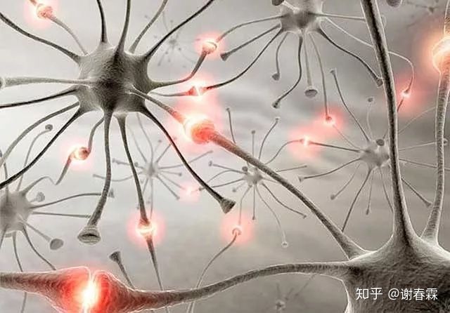 如何提高初中生的认知和逻辑思维,如何系统提高思维逻辑能力