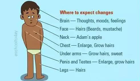 素媛案防性侵教育刻不容缓,素媛的罪犯照片