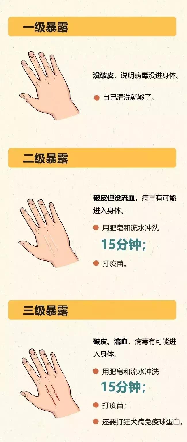 被猫狗咬伤如何正确处理,被猫狗咬伤十天了还能打针吗