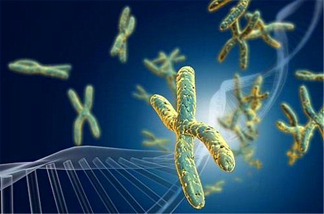 为什么骡子不能生育的民间故事,骡子不能生育是马和驴惹的祸