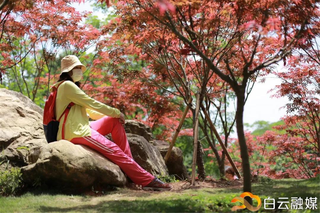 阳光正好来场户外,阳光正好去爬山