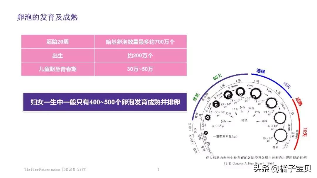卵巢功能极差怎么备孕,卵巢功能不好备孕小技巧