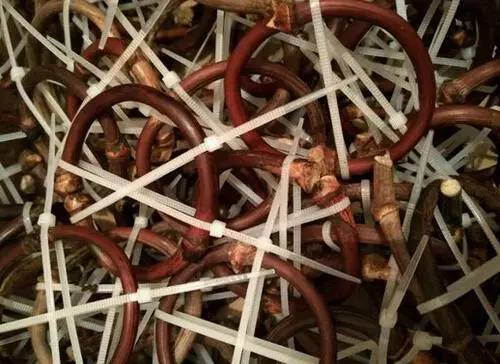 鸡血藤手镯是什么东西制作的,鸡血藤手镯用的是根部还是枝干