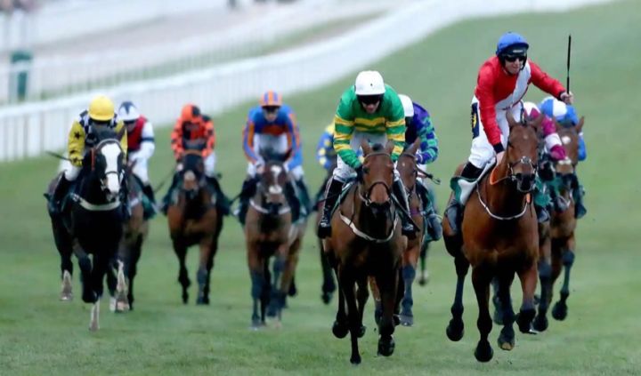 2006年切尔滕纳姆赛马节,世界顶级名马比赛视频表演