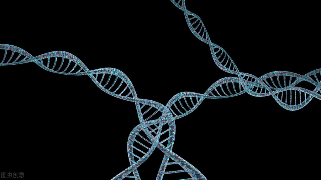 来吧新生活创作的原声,来吧新生活原声