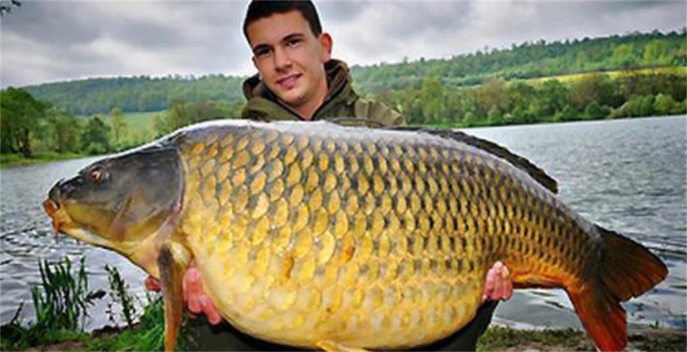 “蛇头鱼”在美国泛滥成灾，花费8亿美元治理，甚至不惜抽干湖水