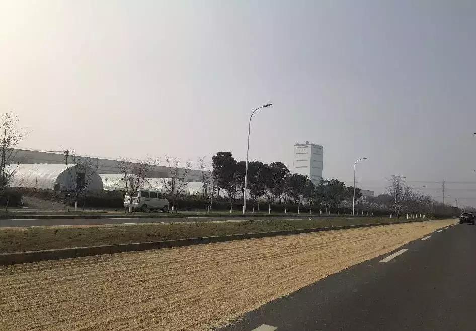 无锡真的还有农民，承包700亩！坚守26年，亲友都跟着他干！